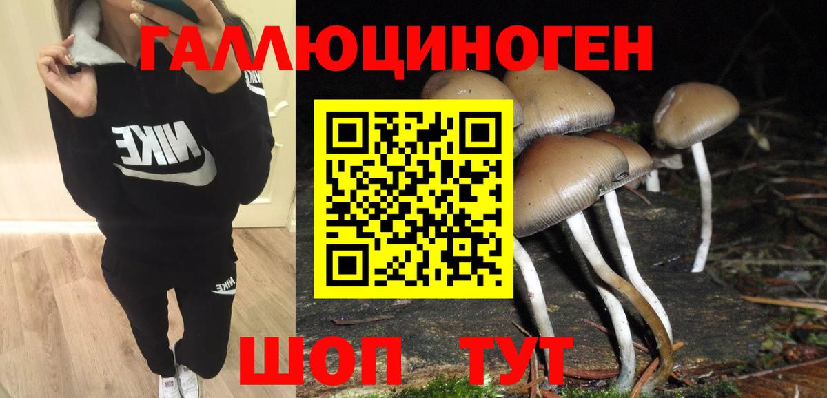Псилоцибиновые грибы Magic Shrooms  Псилоцибиновые грибы Psilocybine cubensis  Вход с VPN  Белгород 