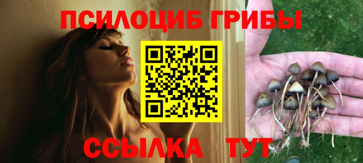 Псилоцибиновые грибы мухоморы Белгород